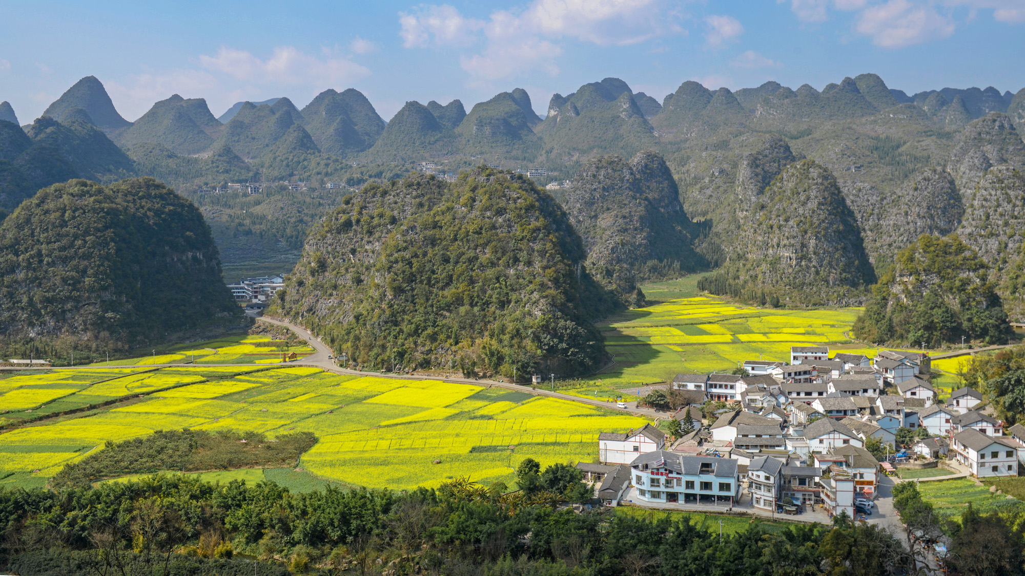 油菜花开万峰林