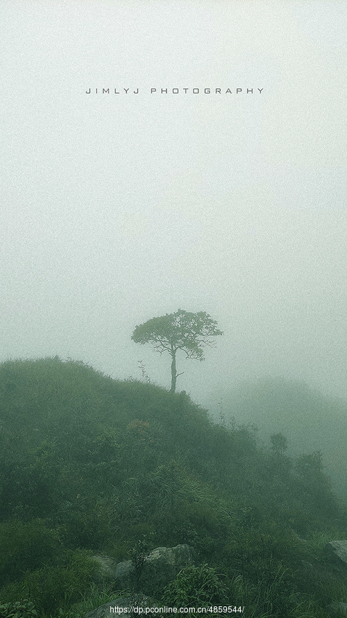 ¶Ӫ¼