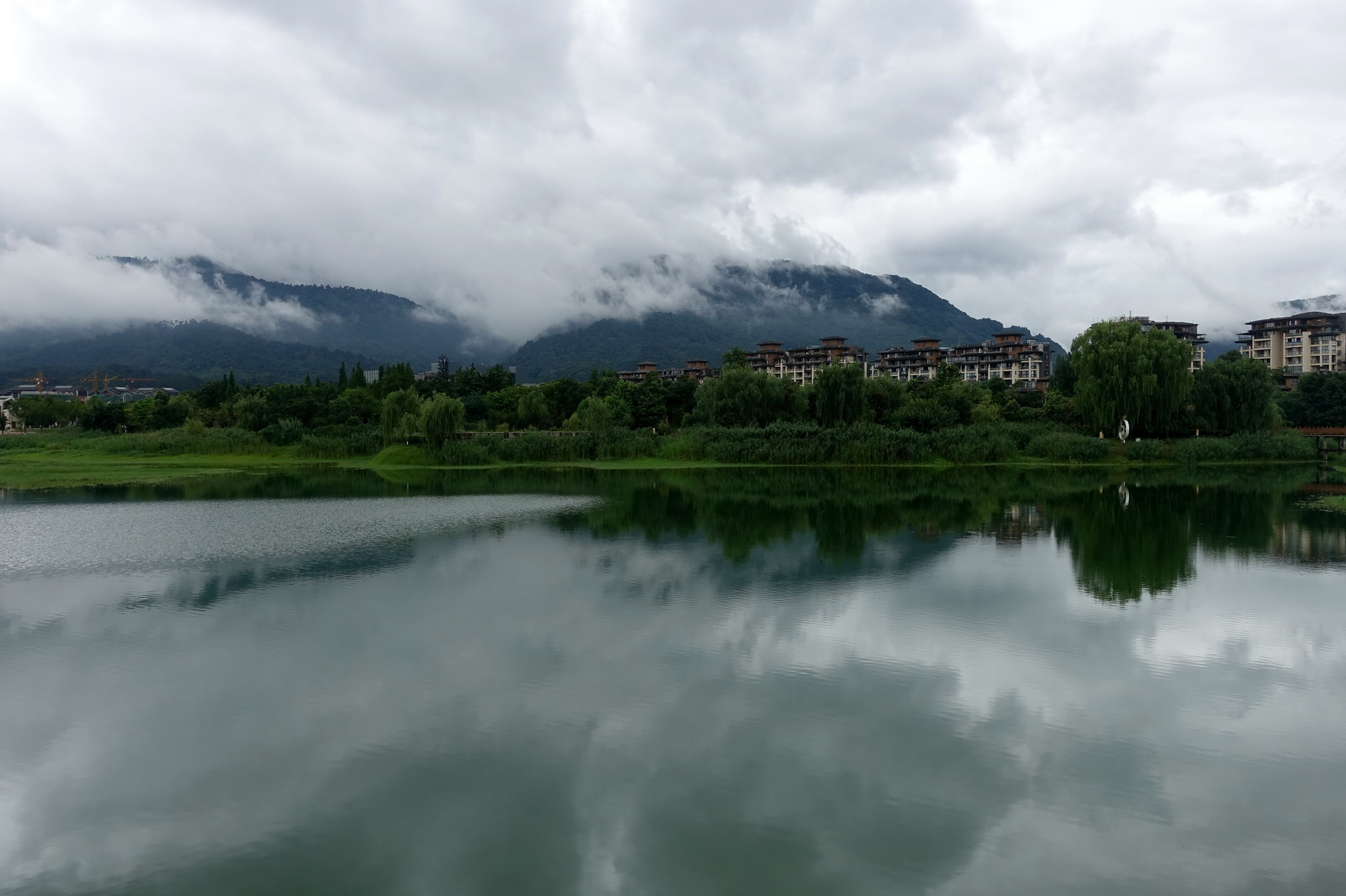 雾雨盛夏图片