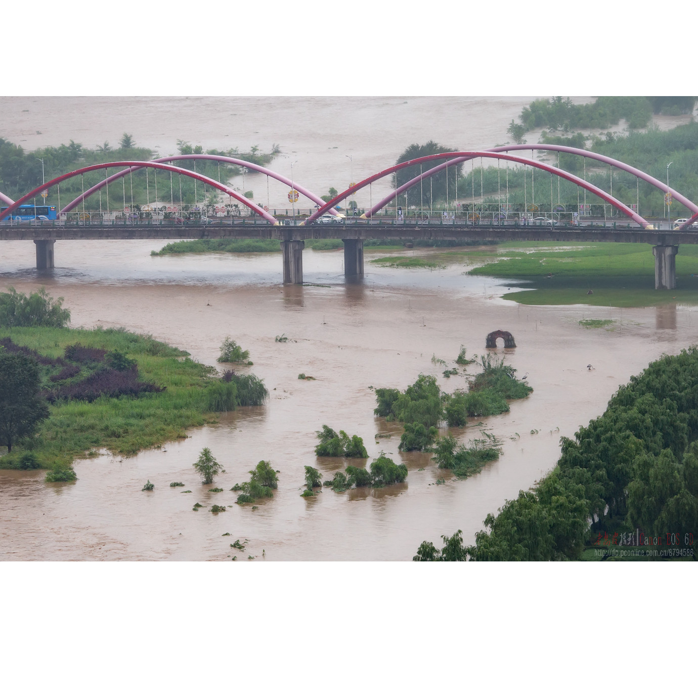 2020.8.16 暴雨 大水