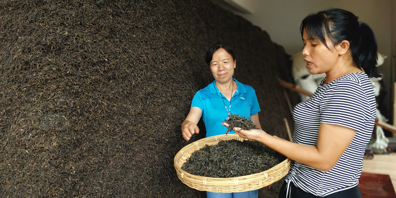 走过云县茶交易市场