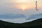 赴一场绿色之约，品赏云台山风景区生态之美