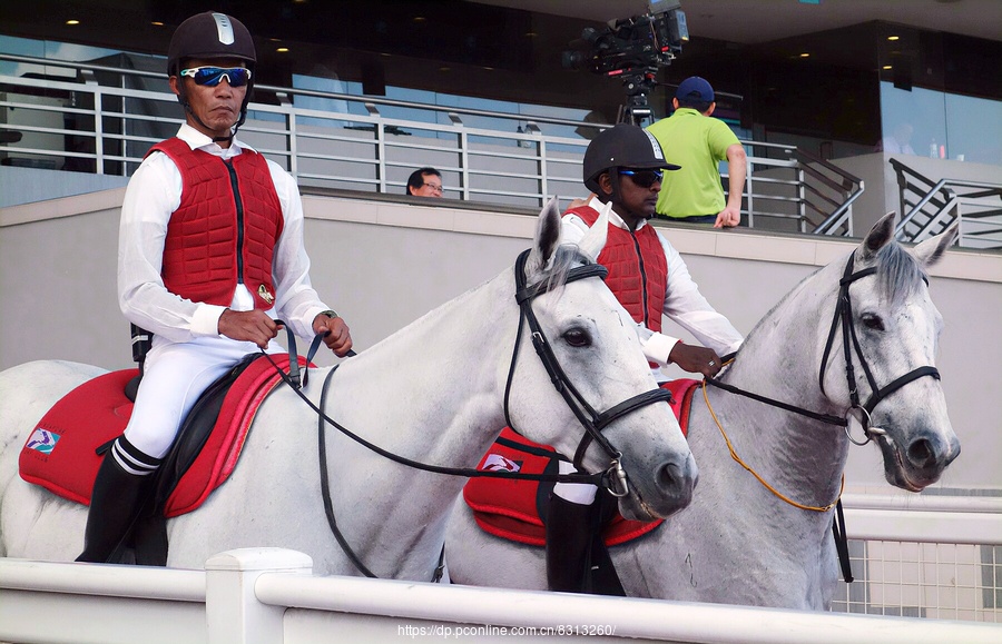 ¼ֲ Singapore Turf   Club 