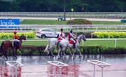 ¼ֲ Singapore Turf   Club 