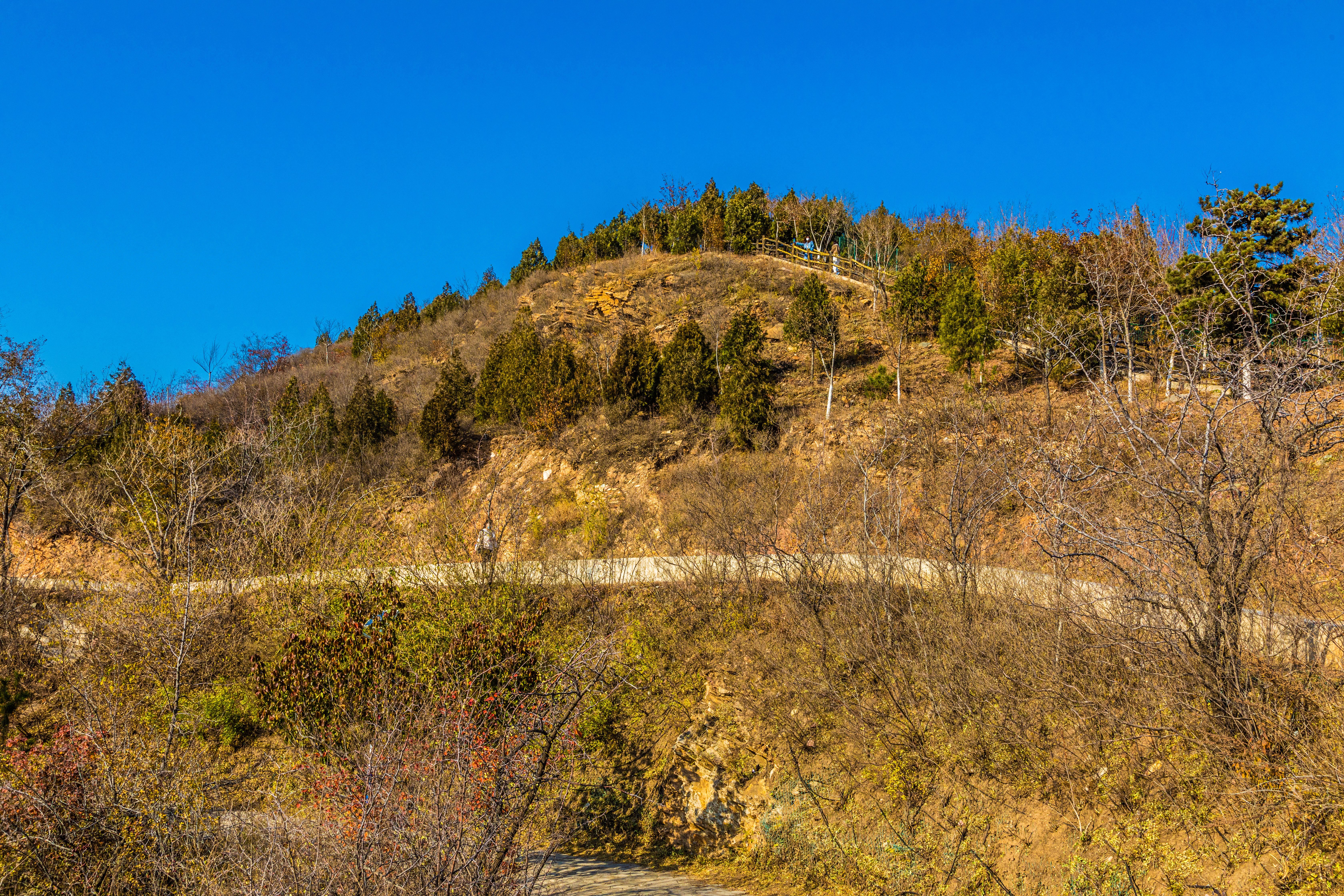 北京北宫国家森林公园秋景