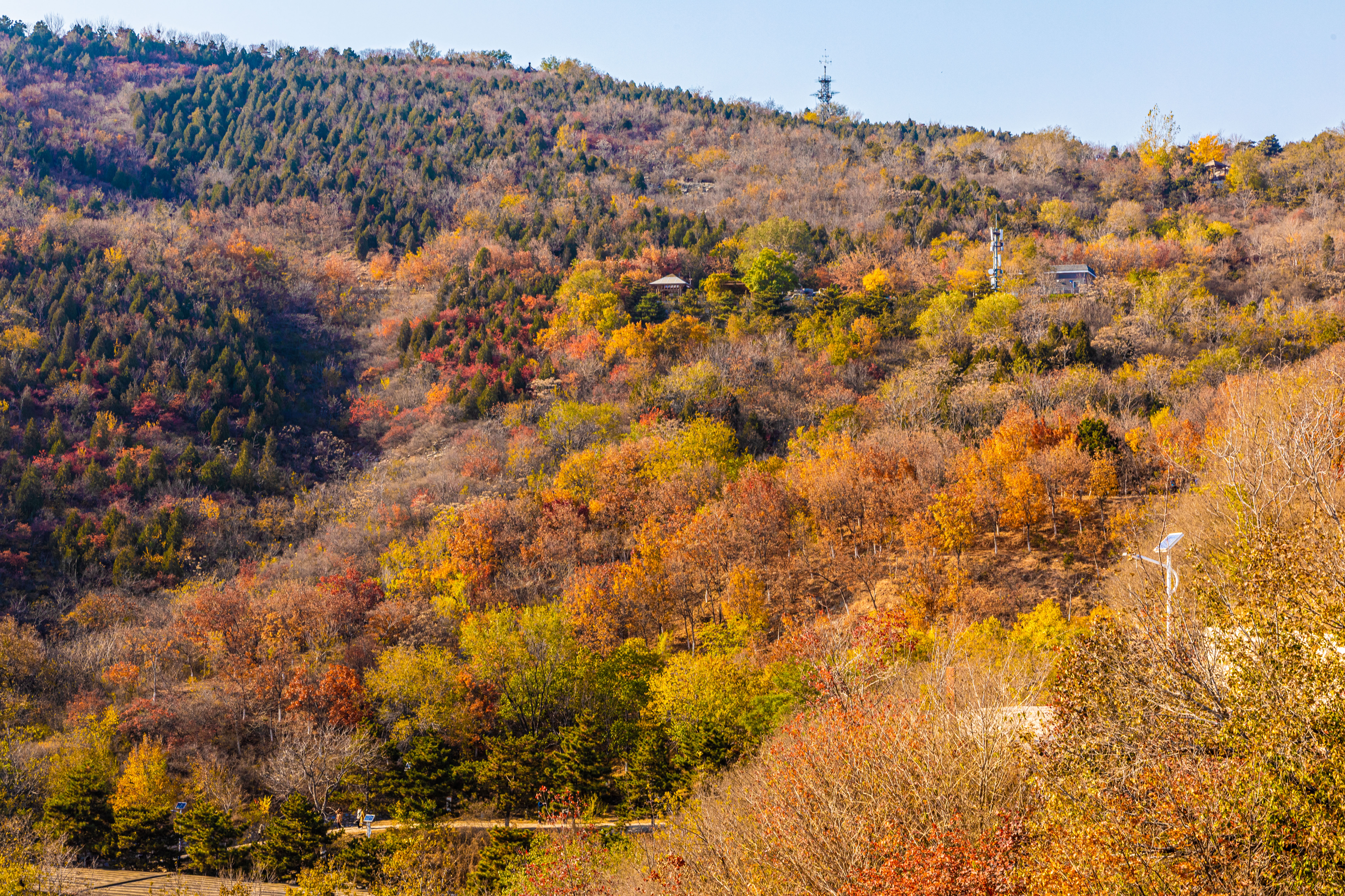 北京北宮國家森林公園秋景