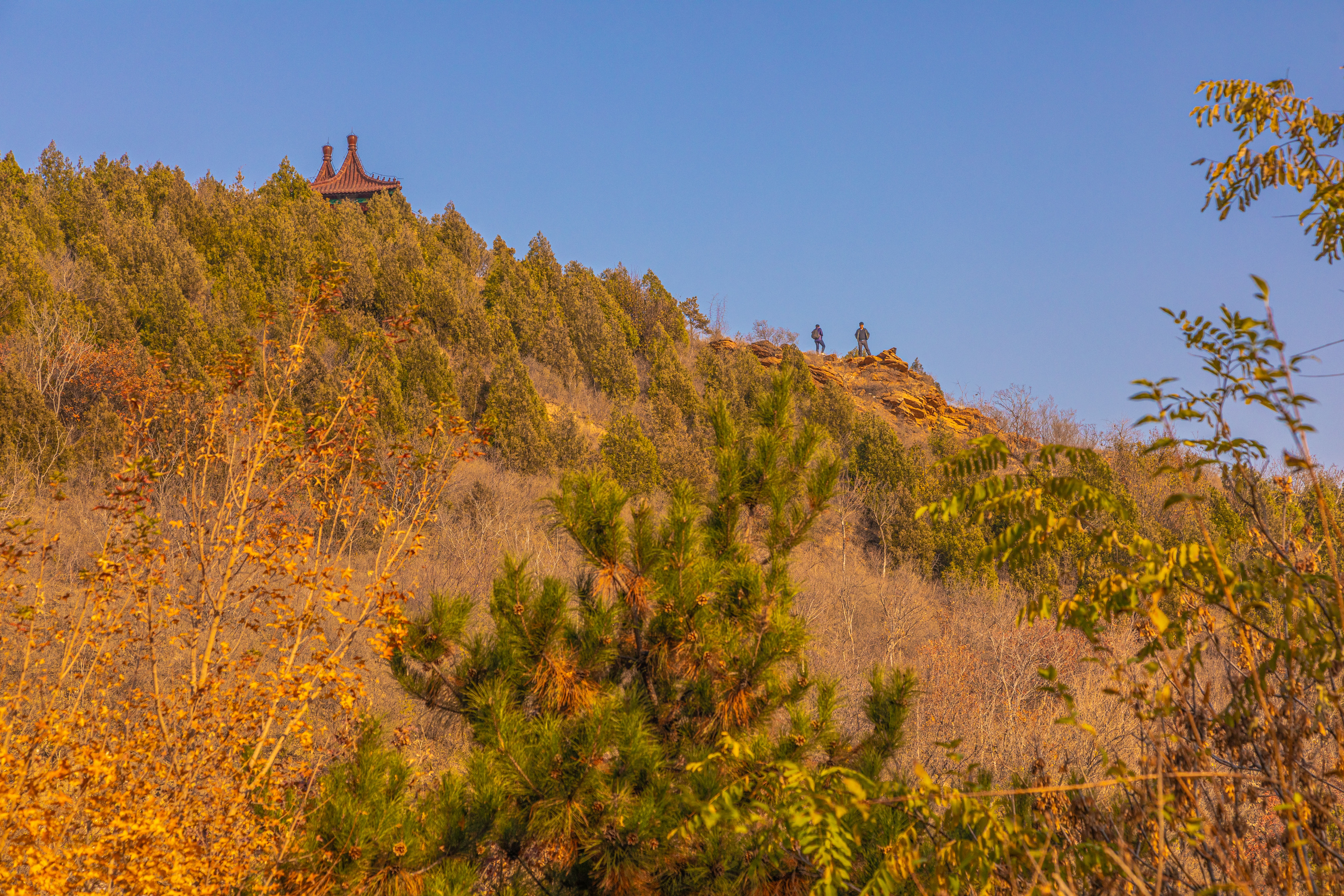 北京北宫国家森林公园秋景