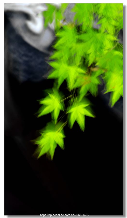 Ҷ