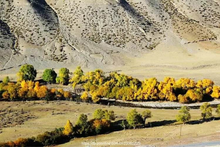新疆的秋天