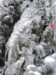 这个冬季来云台山体验一次寻雪之旅！