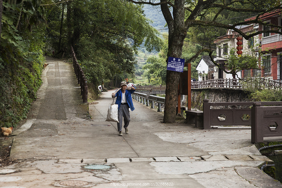 塘溪雁村风景图片