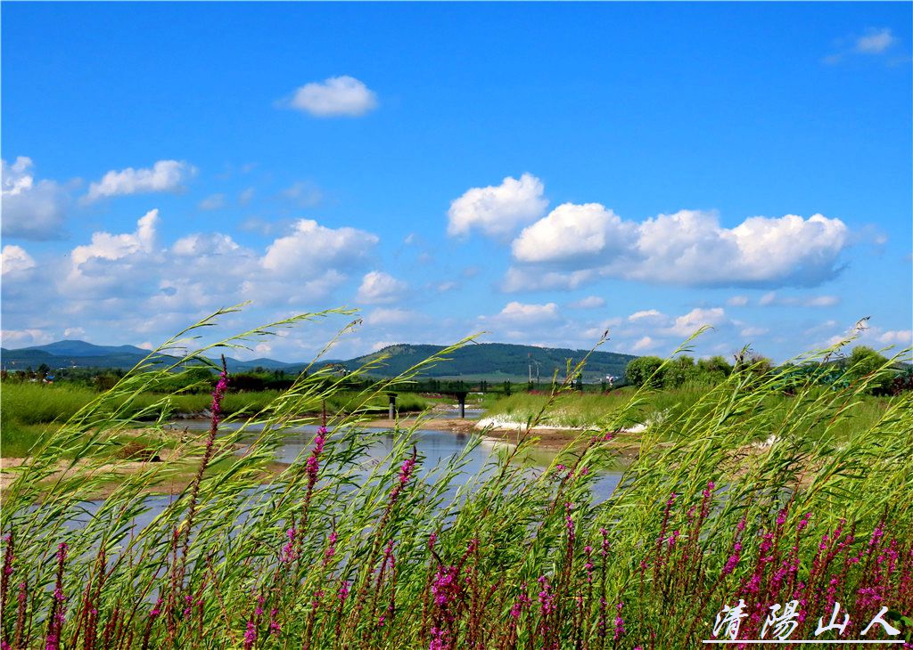 宝清县风景【家乡景色185】清阳山人