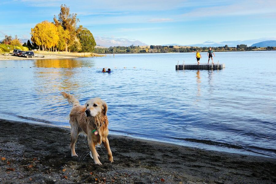   Te Anau