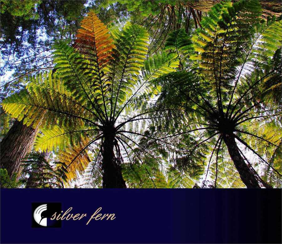 新西兰珍稀植物图片