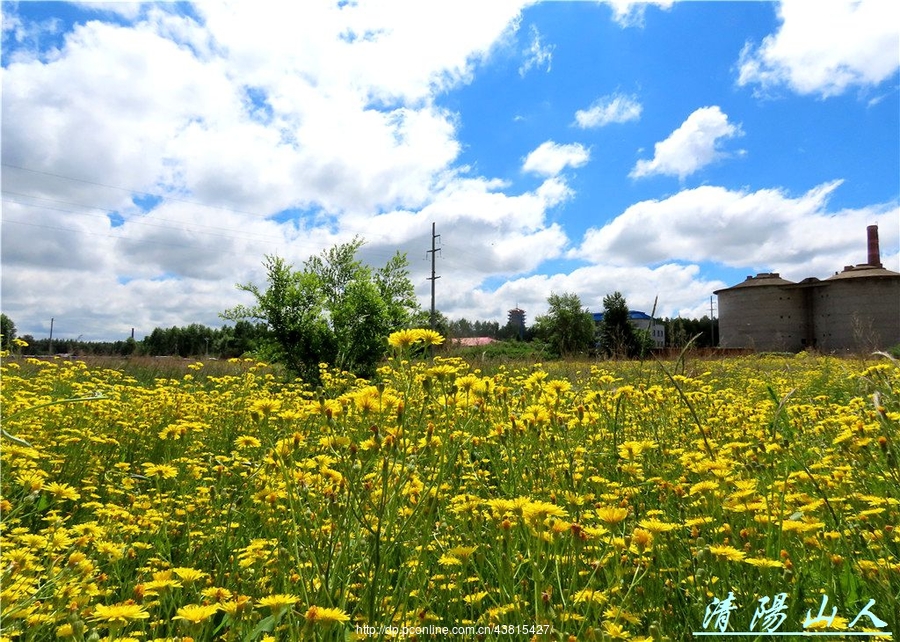 家乡风景200图片