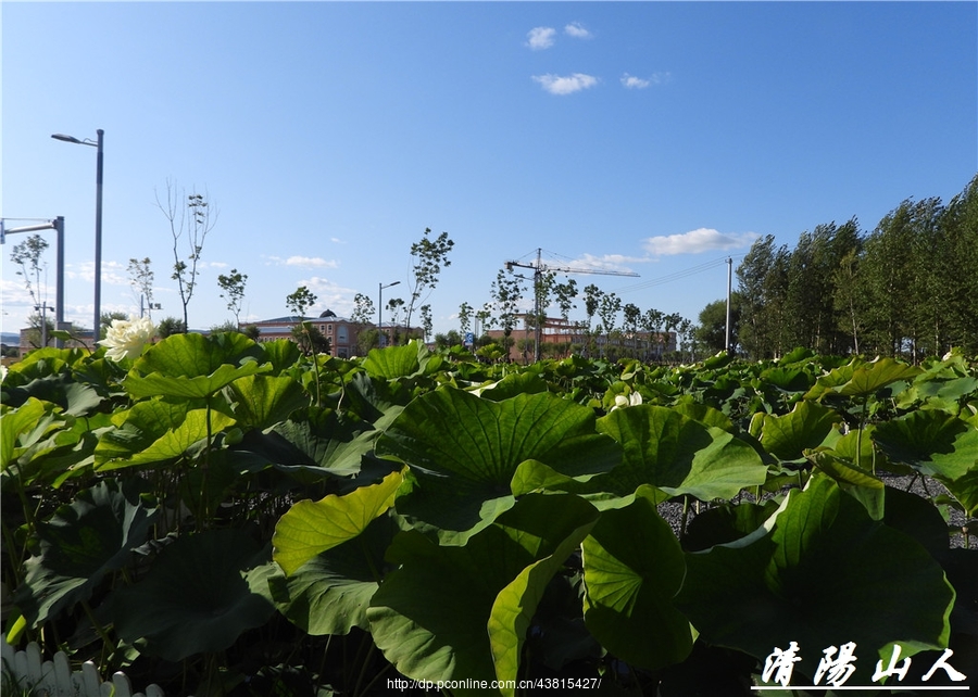 家乡风景200图片