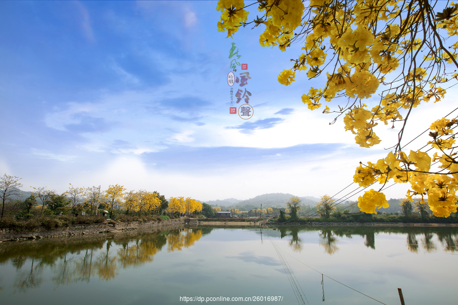 春风吟唱风铃声