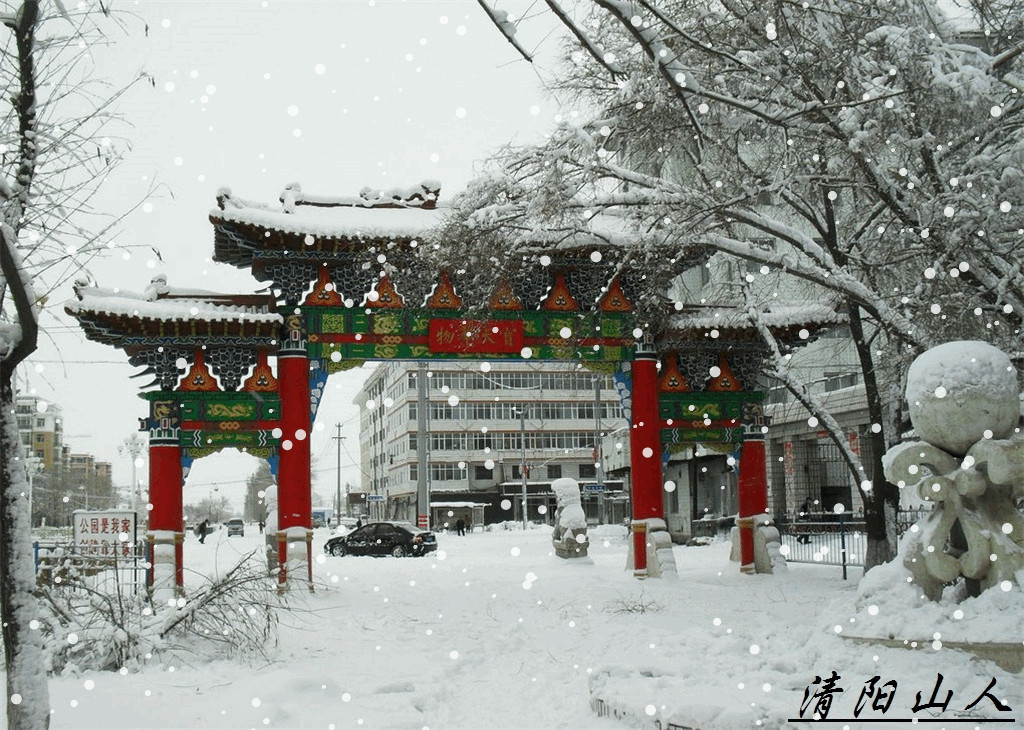 宝清县风景【家乡雪景 10】清阳山人