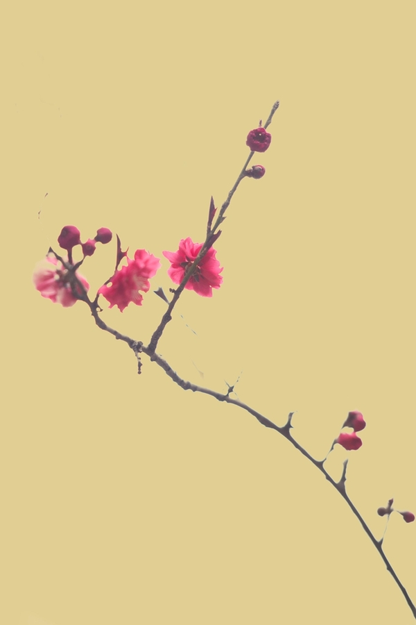 Ұһ
