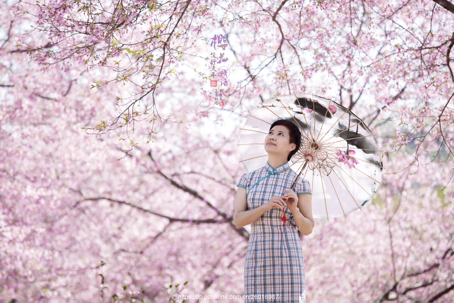 【樱花浅语,淡抒流年摄影图片】人像摄影