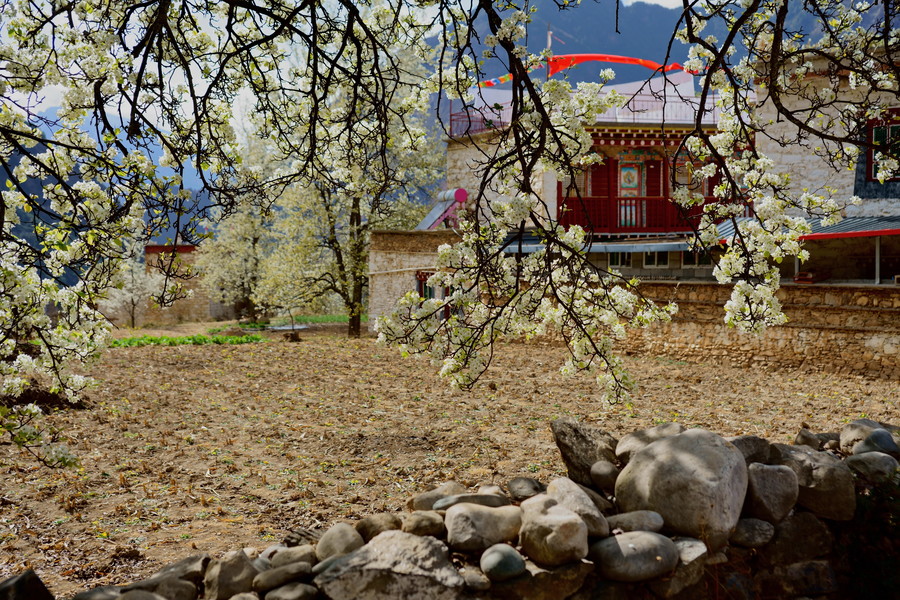 川藏三月之中路藏寨（一）