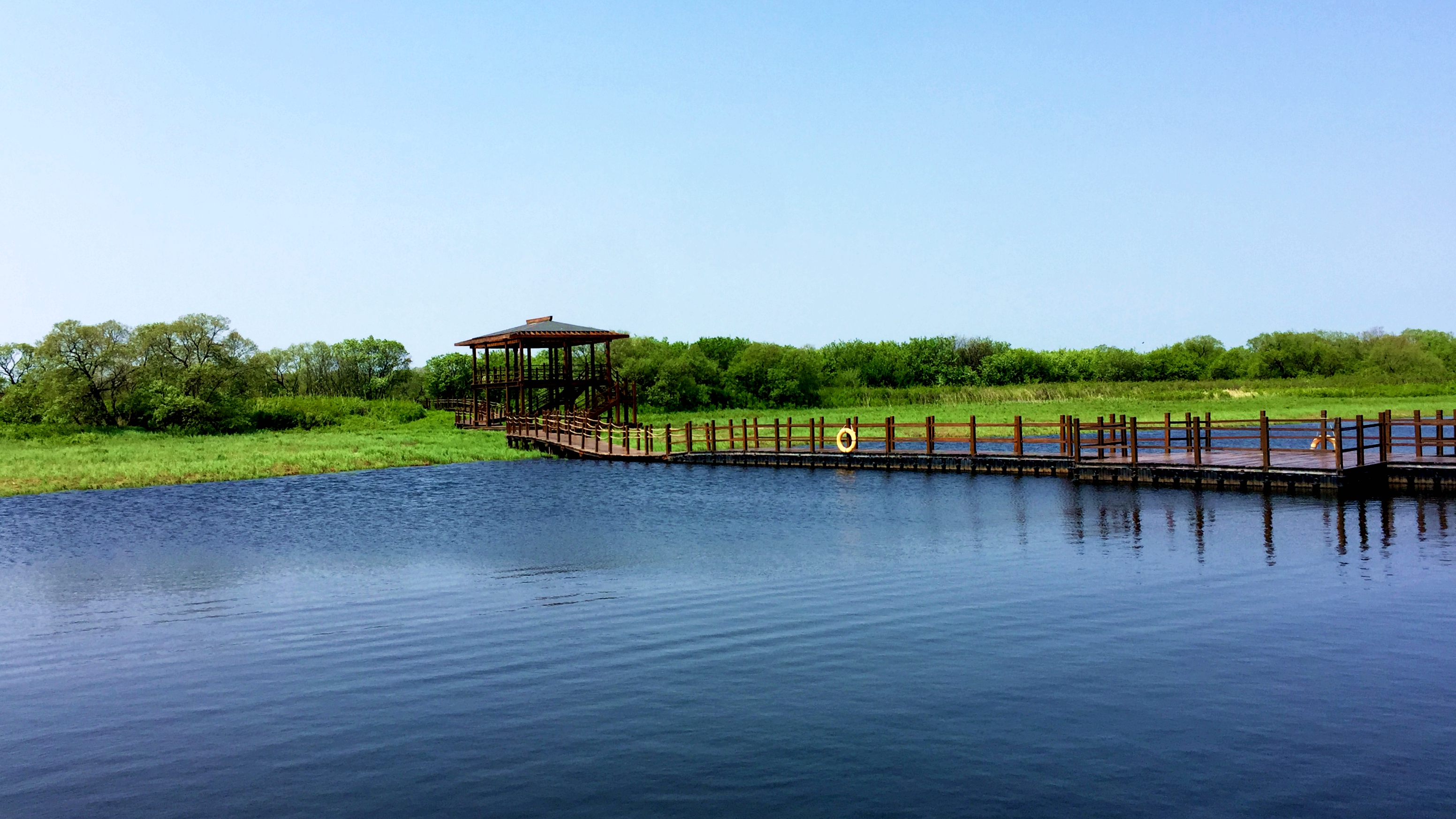 中国黑瞎子岛湿地公园图片