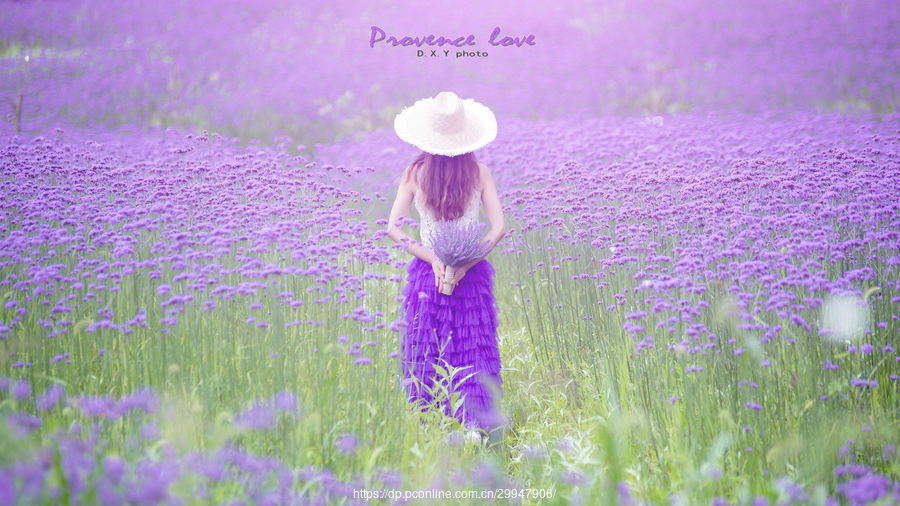 Provence love