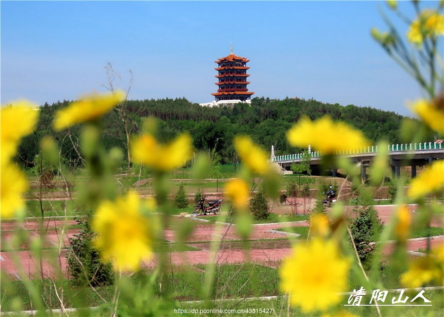 宝清县风景家乡景色239清阳山人