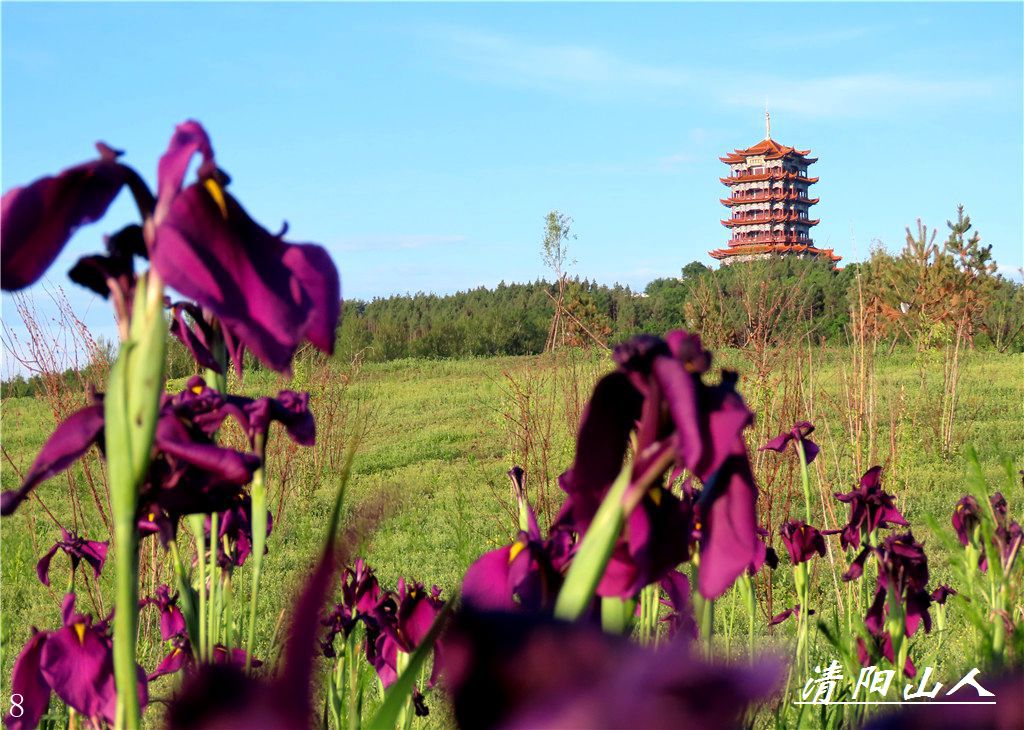 宝清县风景【文昌阁园林花卉】清阳山人