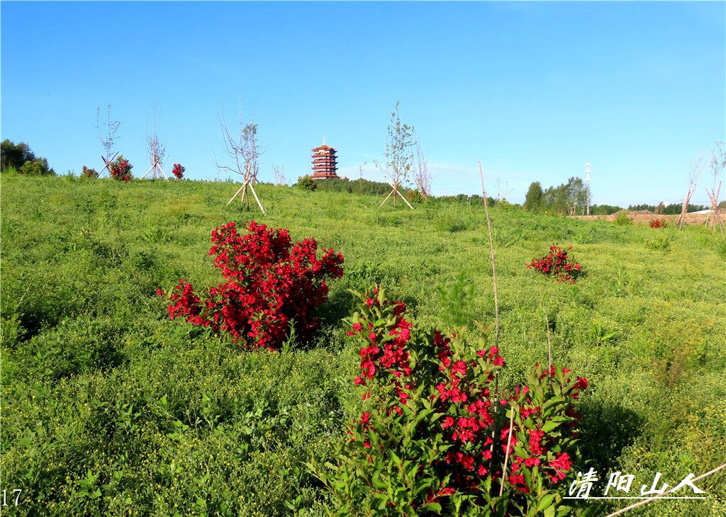 宝清县风景【文昌阁园林花卉】清阳山人