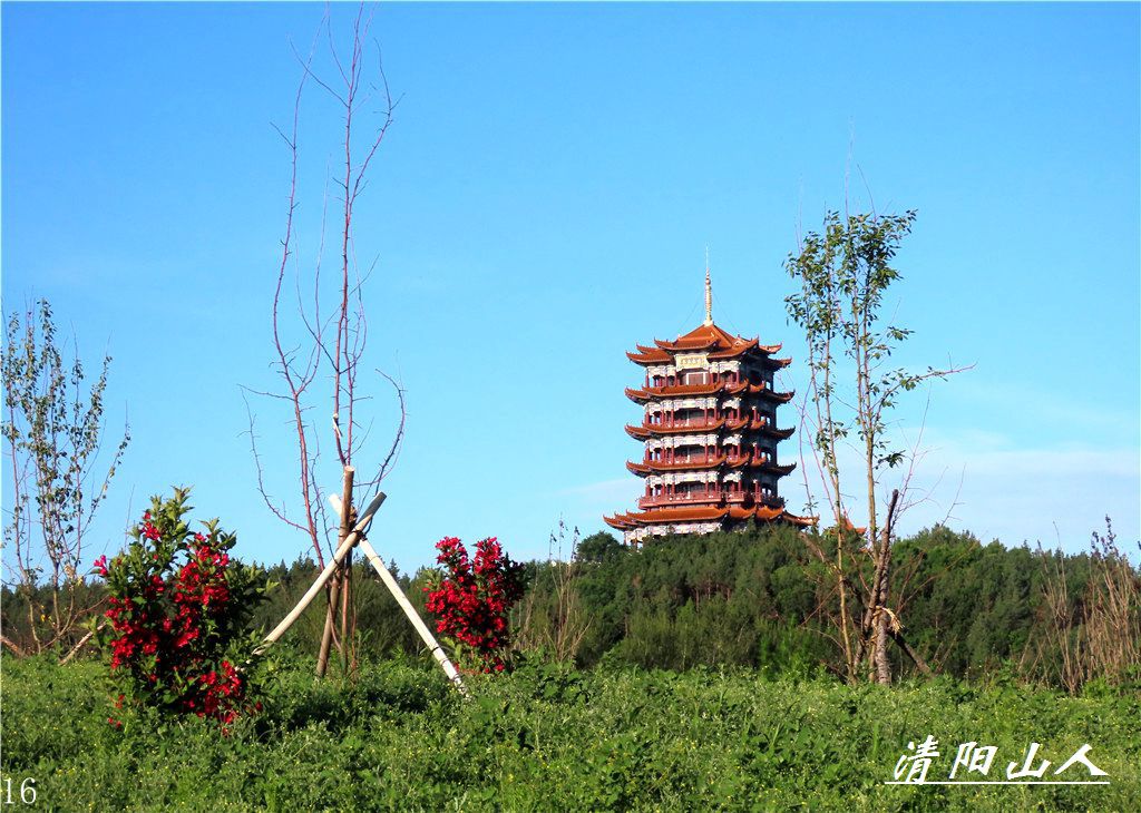 宝清县风景【文昌阁.园林花卉】清阳山人