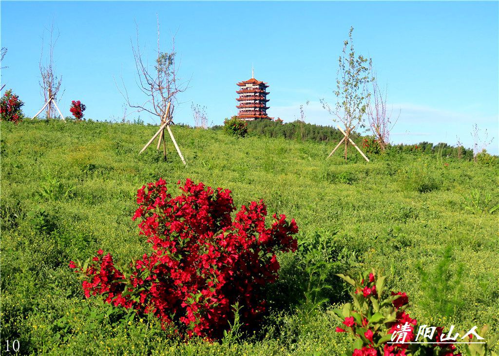 宝清县风景【文昌阁园林花卉】清阳山人