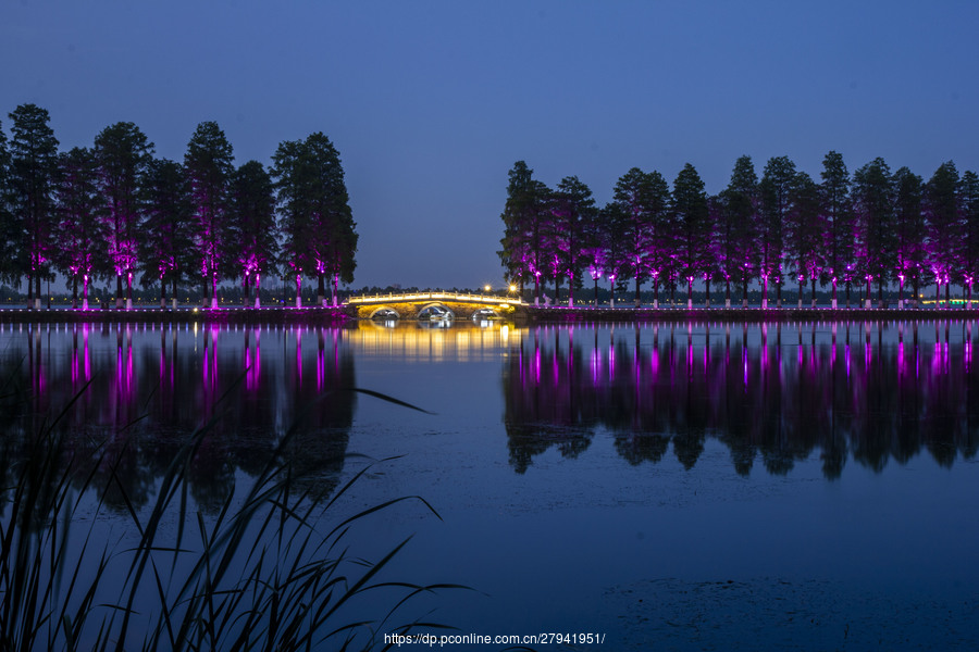 江门东湖公园夜景图片