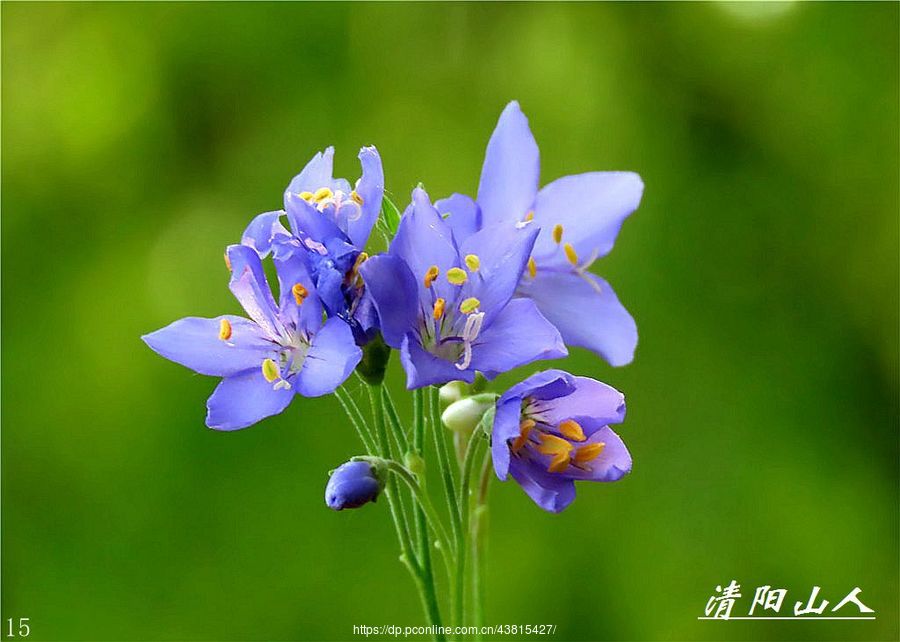 ط羰л1ɽ