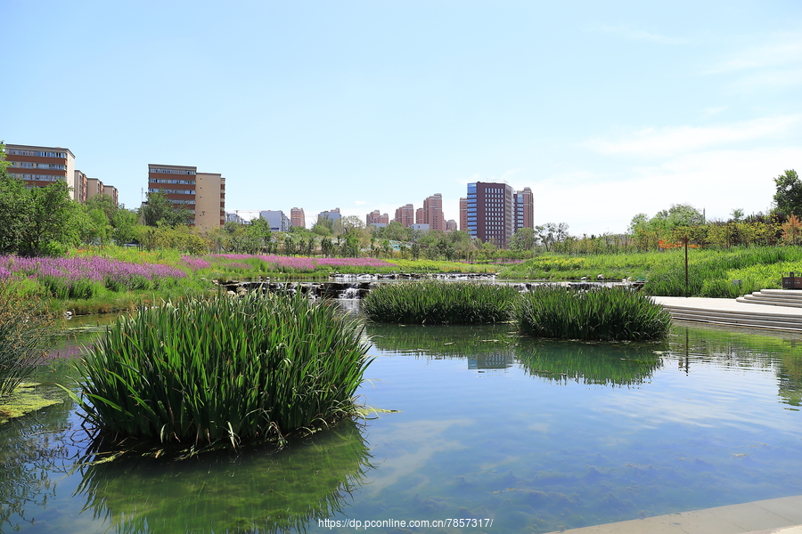 石河景观带图片