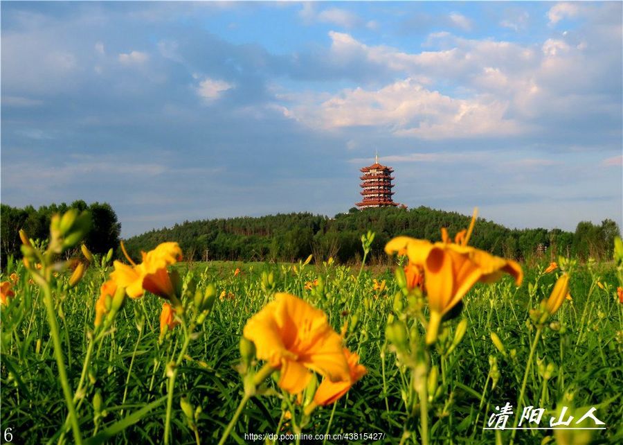 宝清县风景【文昌阁园林花卉】清 (共 20 p)