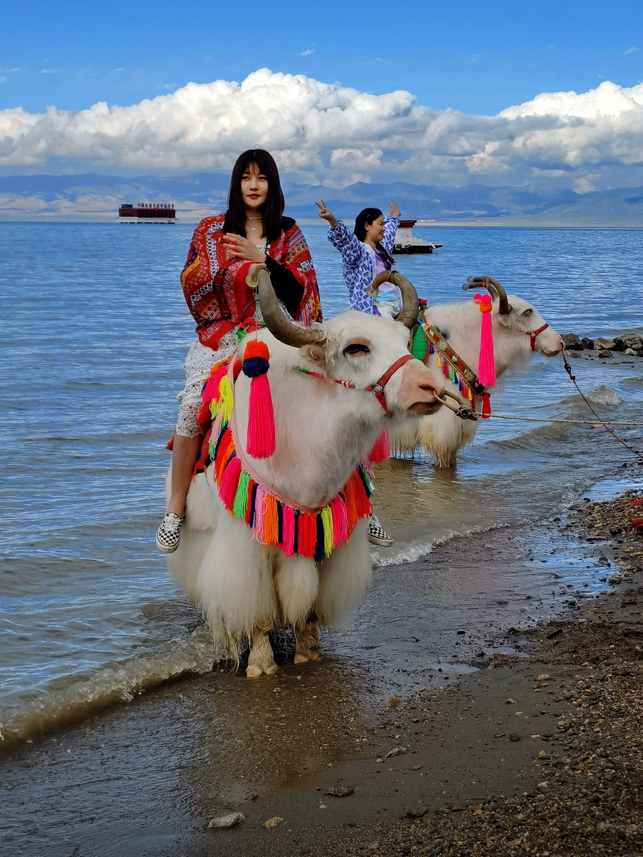 青海湖 美