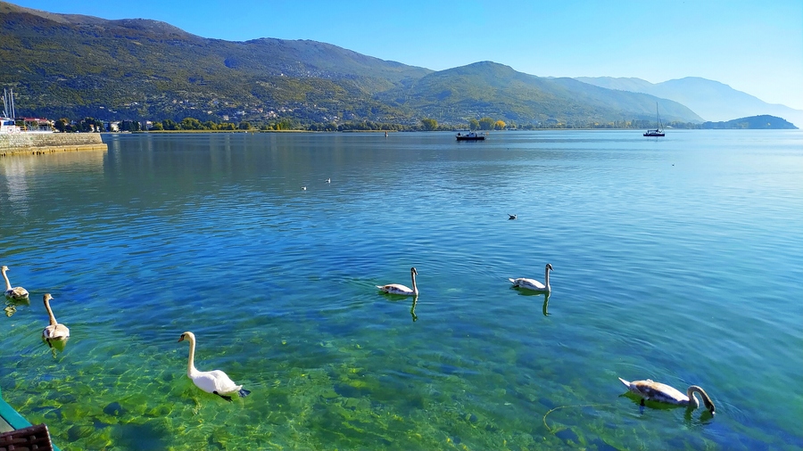 巴尔干半岛奥赫里德湖图片