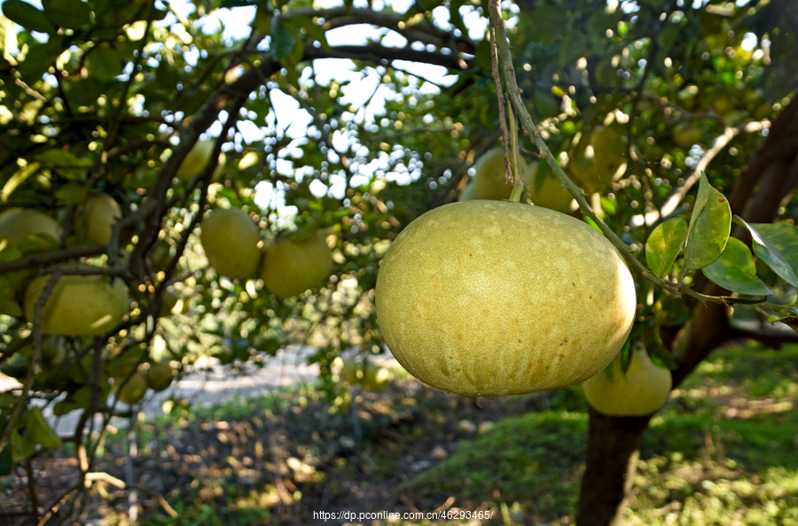 Ӵ壬ȥˣ2