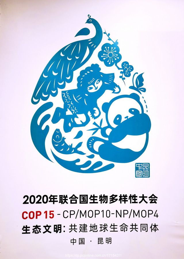 ʢװCOP15