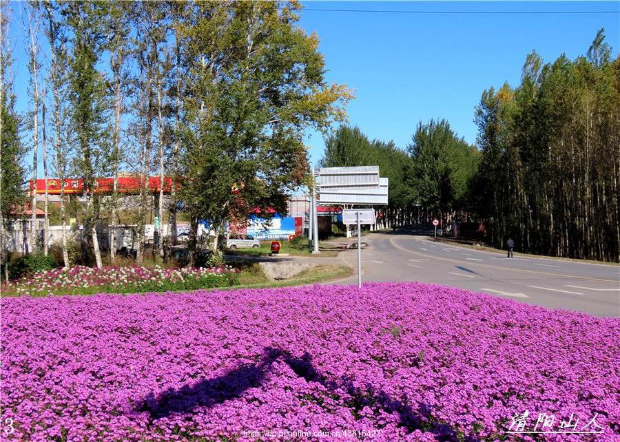 宝清县风景【双宝公路花圃】清阳山人