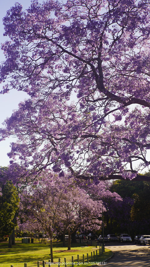 ֵ麼3