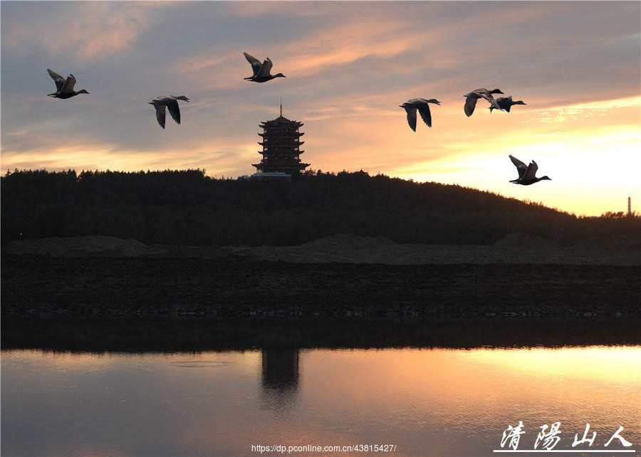 宝清县风景[夕阳西下]清阳山人