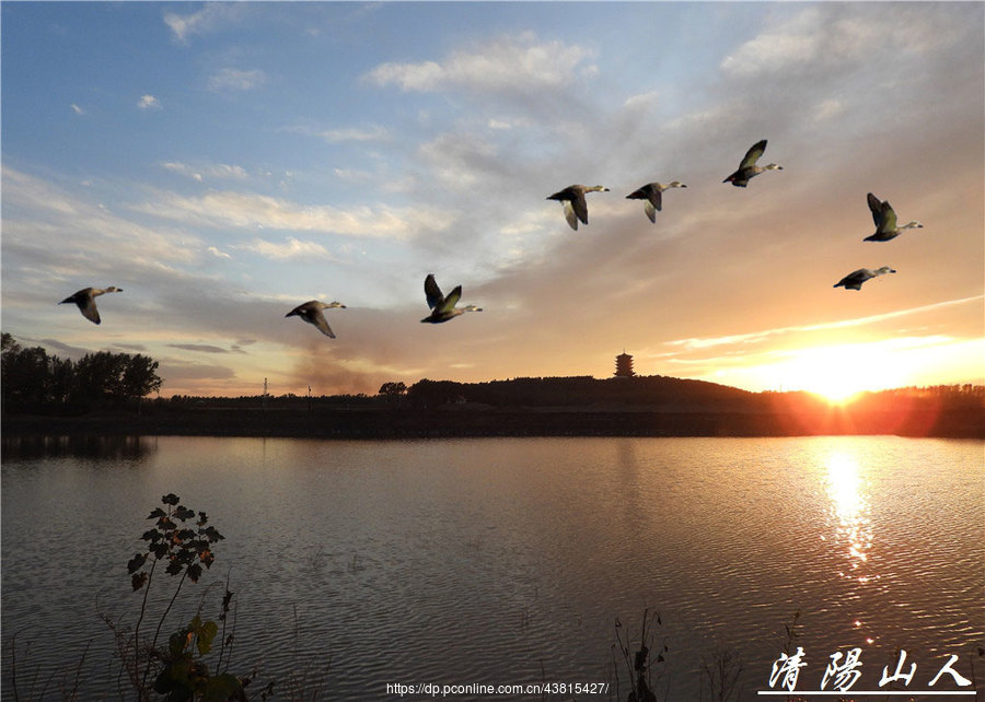 宝清县风景[夕阳西下]清阳山人