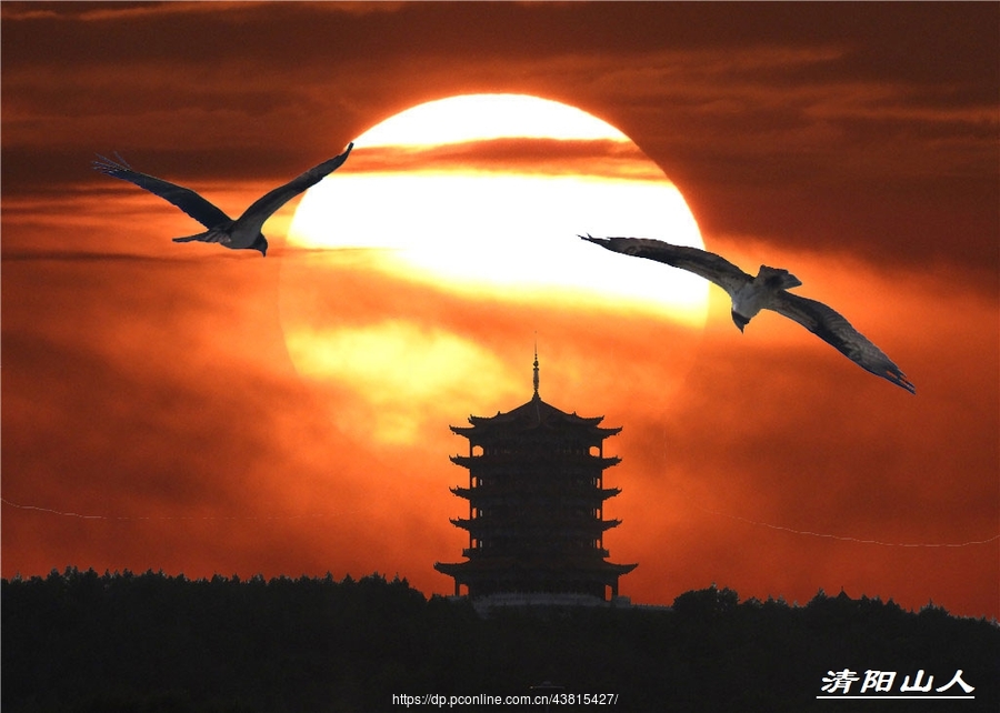 宝清县风景图片