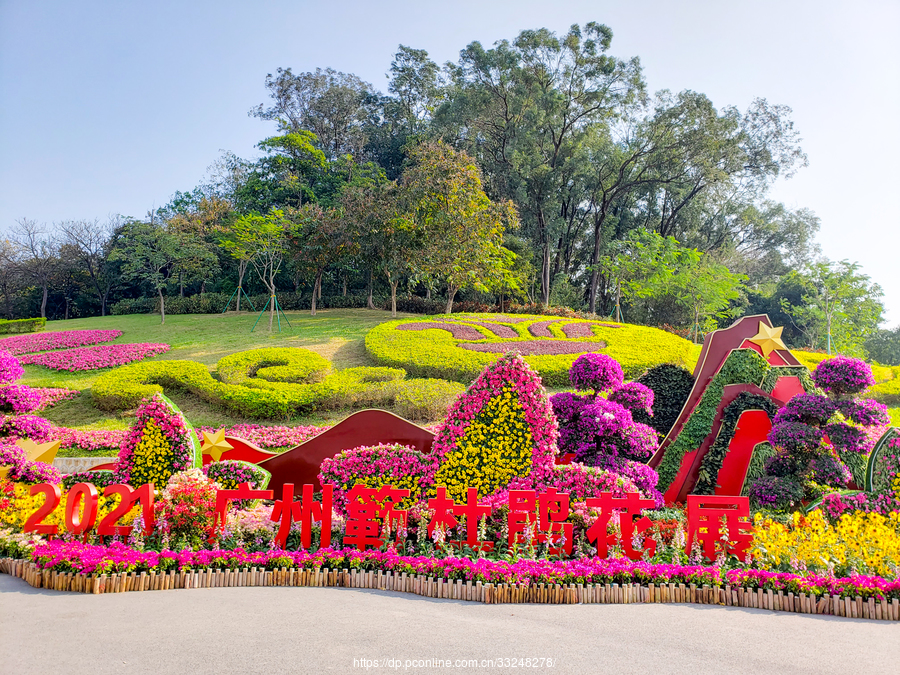 常州花展2021图片