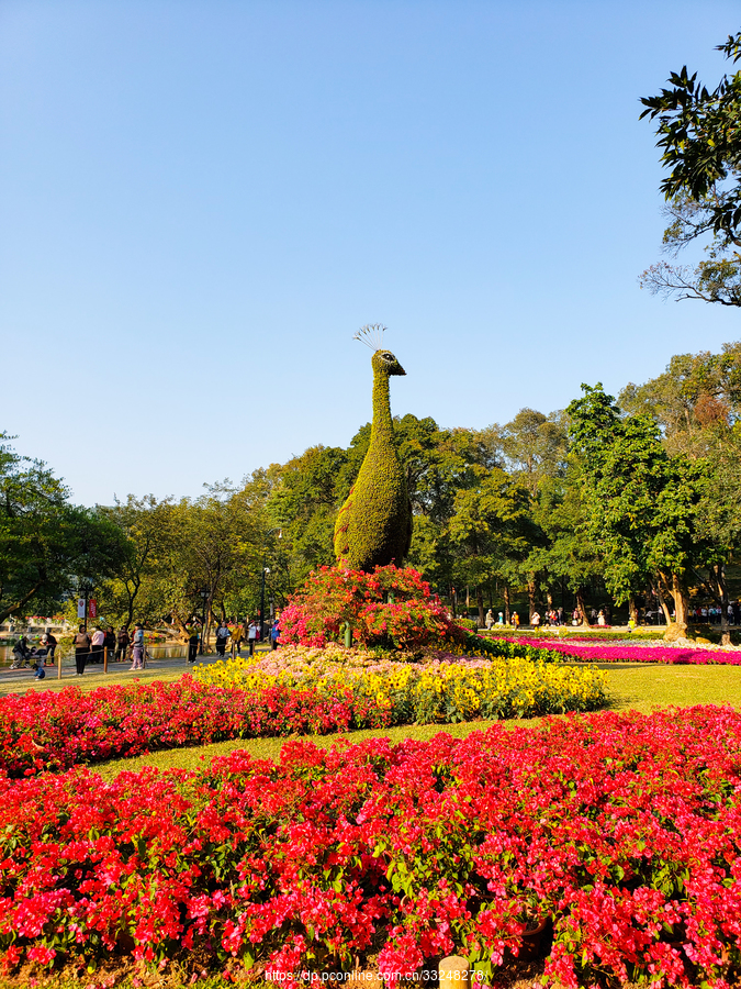 常州花展2021图片