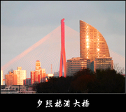 夕照杨浦大桥