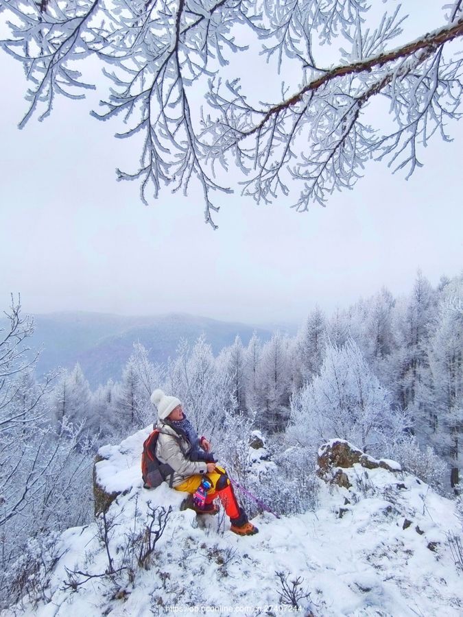 穿林海跨雪原