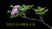 2023花卉摄影月历